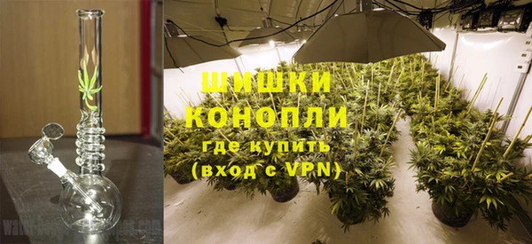 бутират Белокуриха