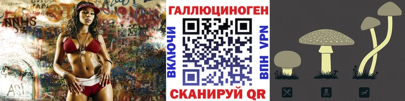 как найти закладки  Холмск  Псилоцибиновые грибы ЛСД 