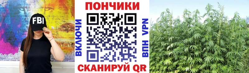 Бошки Шишки семена Холмск